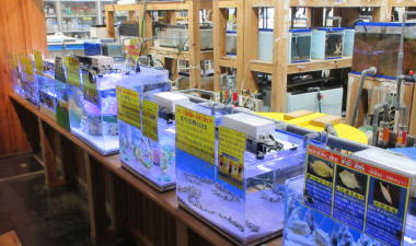 水槽用LED照明2 (鳥取県立賀露かにっこ館)