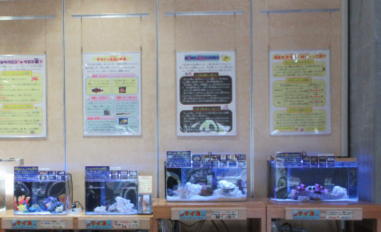 水槽用LED照明3 (鳥取県立賀露かにっこ館)